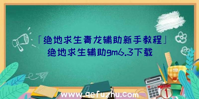 「绝地求生青龙辅助新手教程」|绝地求生辅助gm6.3下载